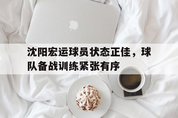 关于沈阳宏运球员状态正佳，球队备战训练紧张有序的信息